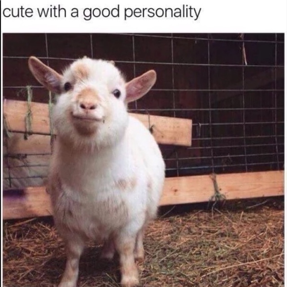 Meet your Posher, Jann